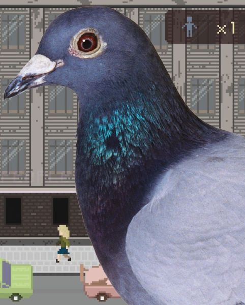 Grand Pigeon's Duty Grand Pigeon's Duty