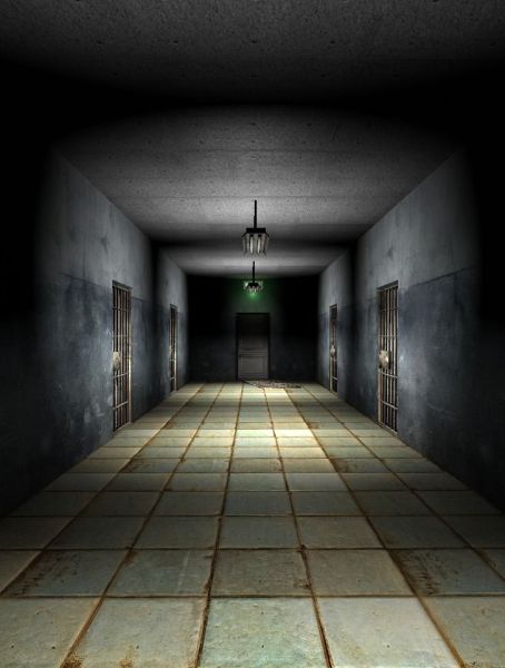 The Dark Level The Dark Level