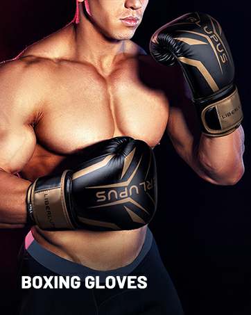 Golden Gloves VR Golden Gloves VR