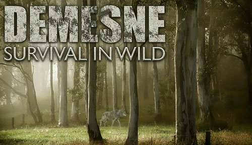 Demesne Demesne