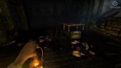 четвертый скриншот из Amnesia: The Dark Descent