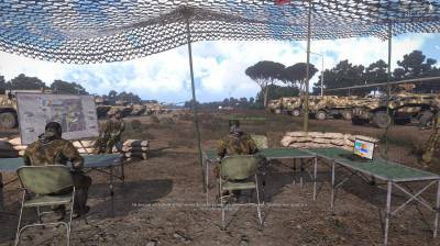 второй скриншот из Arma 3