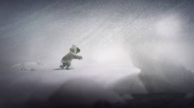 второй скриншот из Never Alone