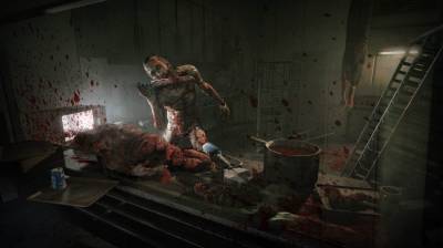 второй скриншот из Outlast: Whistleblower