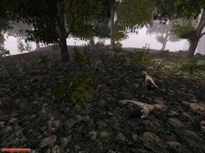 третий скриншот из Gothic 2: Night of the Raven