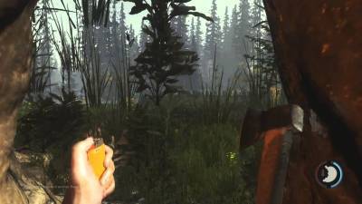 четвертый скриншот из Survival in Forest
