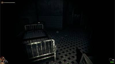 второй скриншот из Horror in the Asylum