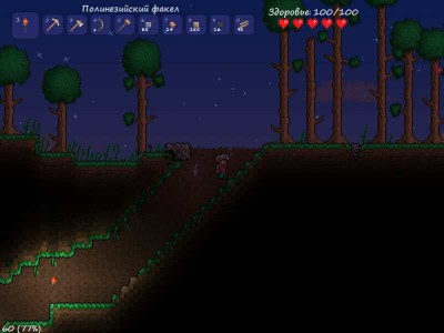 первый скриншот из Terraria: Retribution of The Darkness