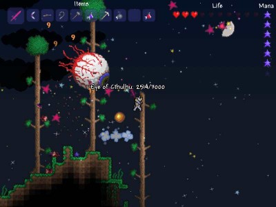 второй скриншот из Terraria: Retribution of The Darkness
