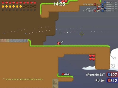 второй скриншот из Teeworlds