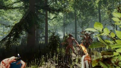 первый скриншот из The Forest