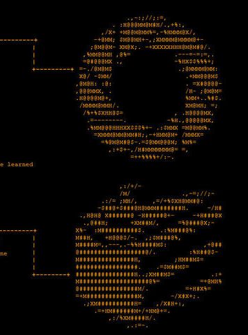 ASCII Portal ASCII Portal