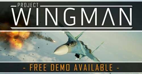 Project Wingman Project Wingman