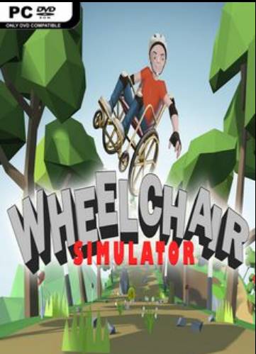 Wheelchair Simulator