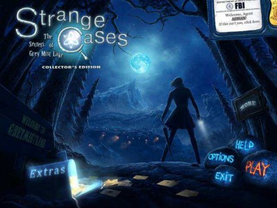 второй скриншот из Strange Cases 3: The Secrets of Grey Mist Lake