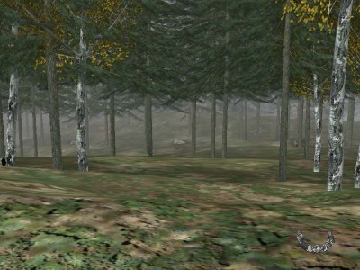 второй скриншот из Canada Hunt