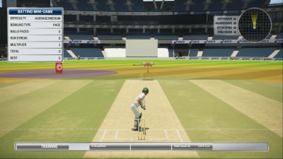 третий скриншот из Ashes Cricket