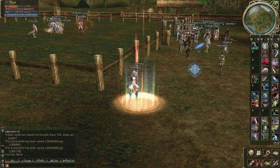 четвертый скриншот из Lineage II The 2nd Throne: Gracia Final