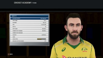 второй скриншот из Ashes Cricket
