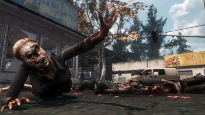первый скриншот из The War Z