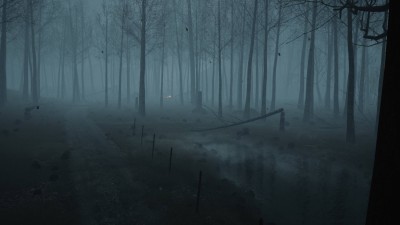 второй скриншот из Dead Forest