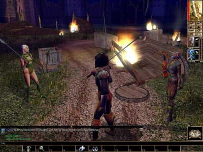 первый скриншот из Neverwinter Nights: Collection Edition