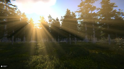 первый скриншот из Night Alien Forest