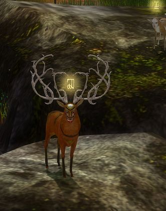 The Endless Forest