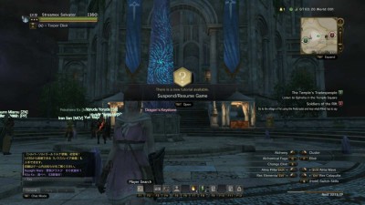 четвертый скриншот из Dragon's Dogma Online