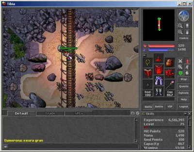 первый скриншот из Tibia Online