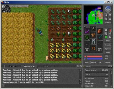 второй скриншот из Tibia Online