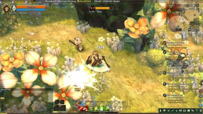 четвертый скриншот из Tree Of Savior