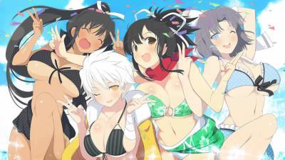 первый скриншот из Senran Kagura Shinovi Versus