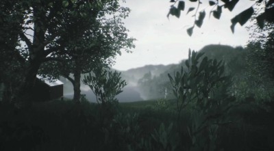 первый скриншот из Explorable Forest Valley