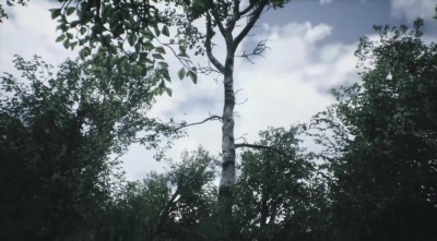 второй скриншот из Explorable Forest Valley