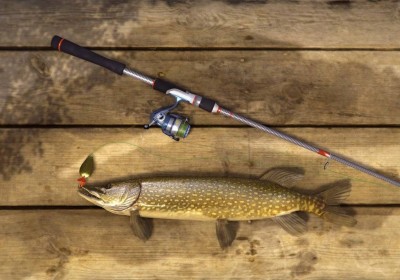 третий скриншот из Fishing Planet