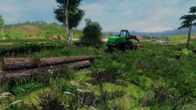 первый скриншот из Professional Lumberjack 2015