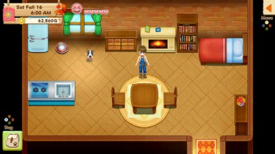 третий скриншот из Harvest Moon: Light of Hope