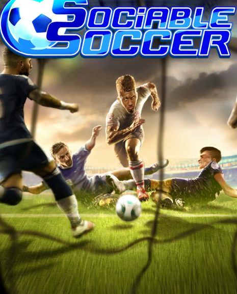 Sociable Soccer