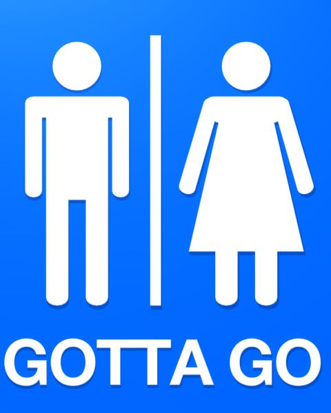 Gotta Go Gotta Go