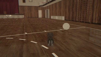 второй скриншот из Kitten Super Adventure