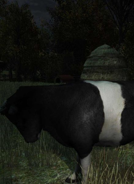 The Cows Are Watching The Cows Are Watching