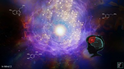 первый скриншот из InMind 2 VR