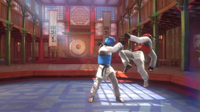 четвертый скриншот из Taekwondo Grand Prix