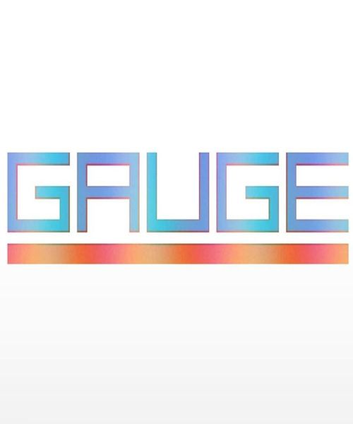 Gauge