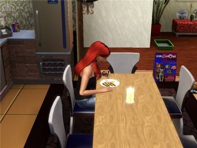 четвертый скриншот из The Sims 3: Hollywood
