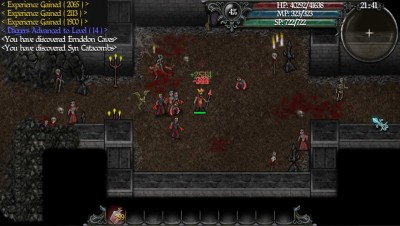 второй скриншот из 9th Dawn II