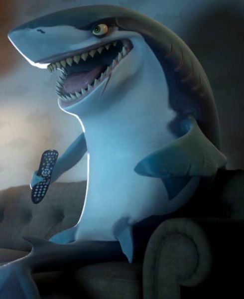 Shark Fish