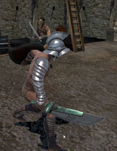 Rudiarius