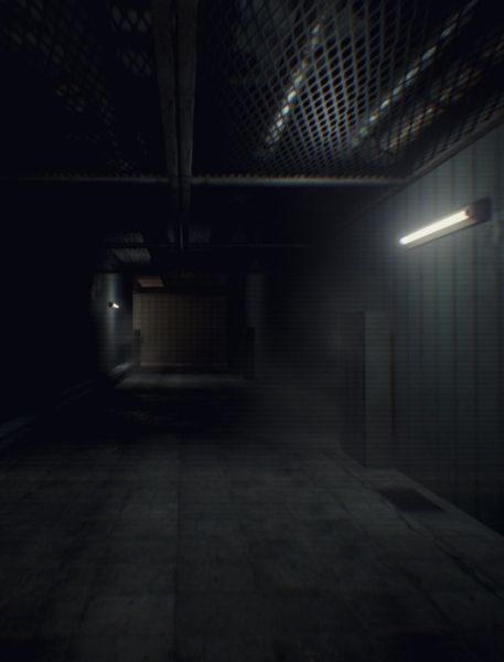 Human